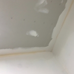 Paint and Drywall
