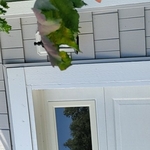Painted exterior white not the gray vinyl siding