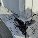 Painted exterior white not the gray vinyl siding