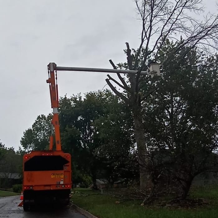 Additional Photos