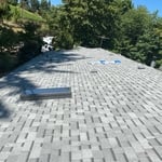 Vasquez roof