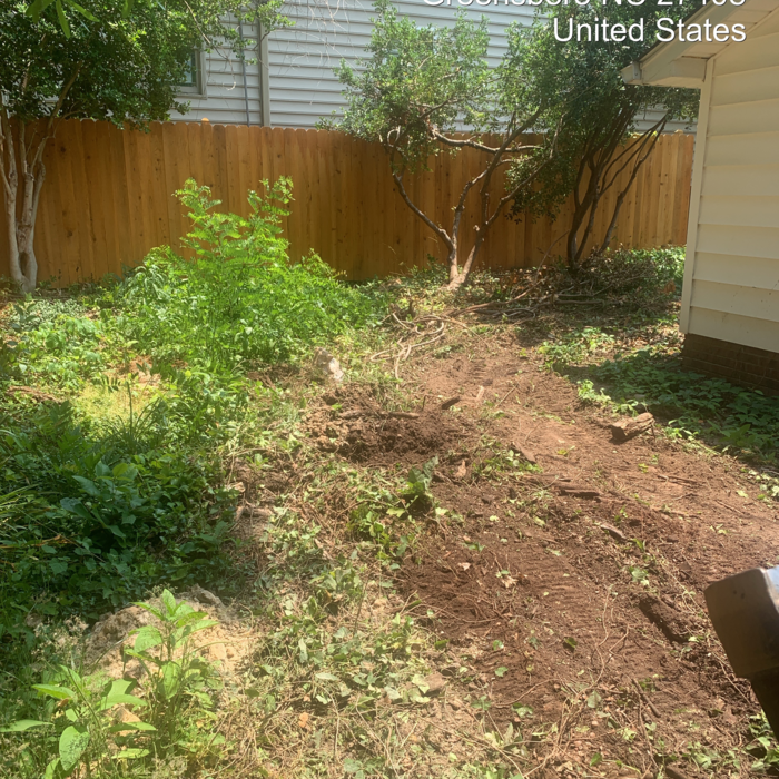 Additional Photos