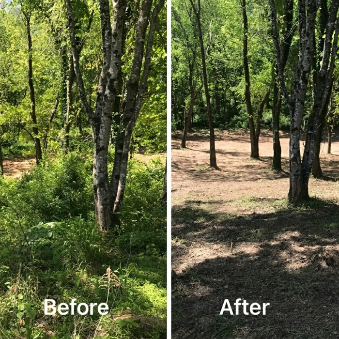 Additional Photos