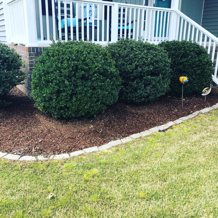 Additional Photos