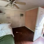 Mold remediation
