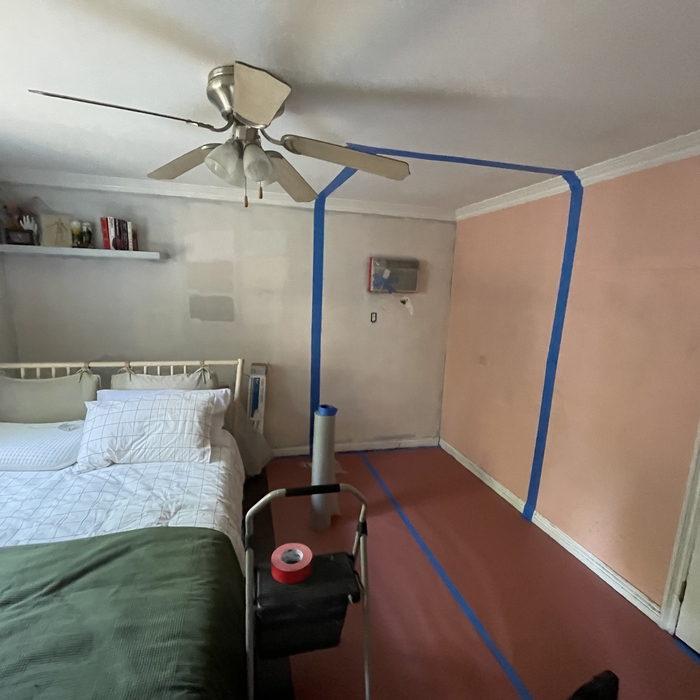 Mold remediation