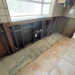 Mold remediation