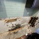 Mold inspection & remediation