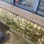 Some of the mold and algae built of on the side of the house
