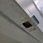 Pest Control/Exterminating Project