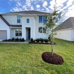 Landscaping Project