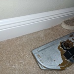 Carpet stretcher part one
