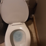 Remove and replace old toilet