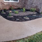 Custom planting showcase rock/black mulch garden with various perennials.
