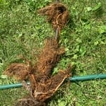 Sewer Cleaning Project