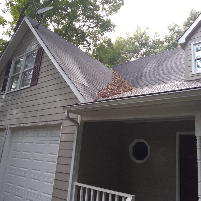 Additional Photos