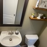 Carpet & house clean