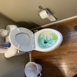 Carpet & house clean