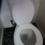 Toilet and flange install