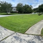 Landscaping Project