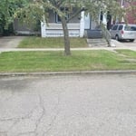 Lawn and Yard Work Project