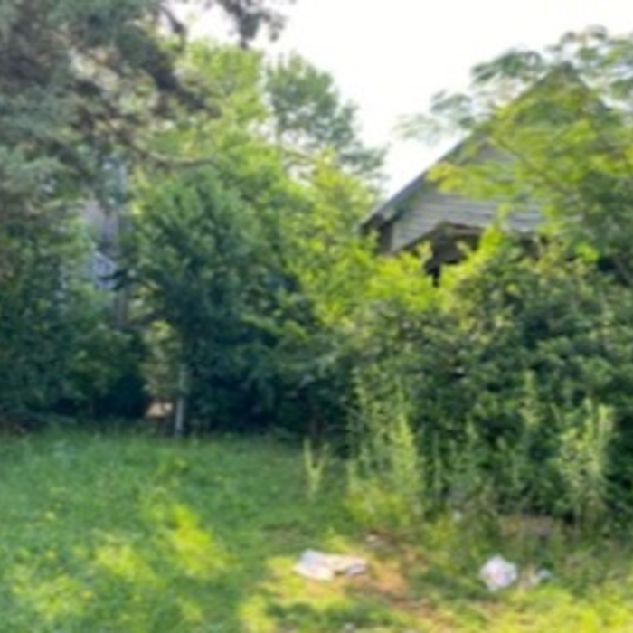 Lawn cleanup