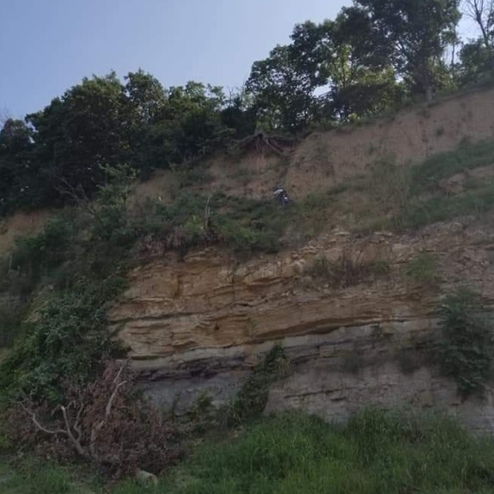 Cliffside Clearing