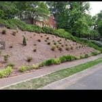 Plant bed design