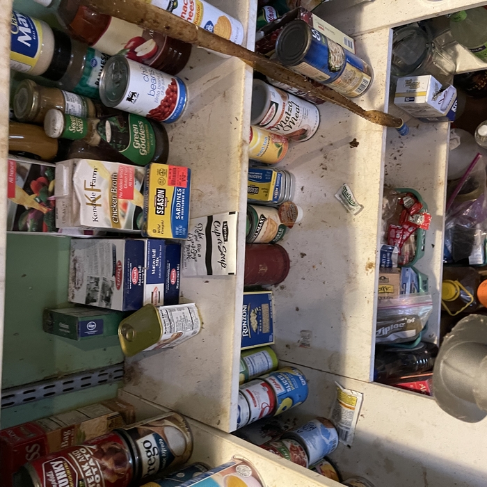 Pantry Clean Out