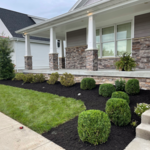 Mulch