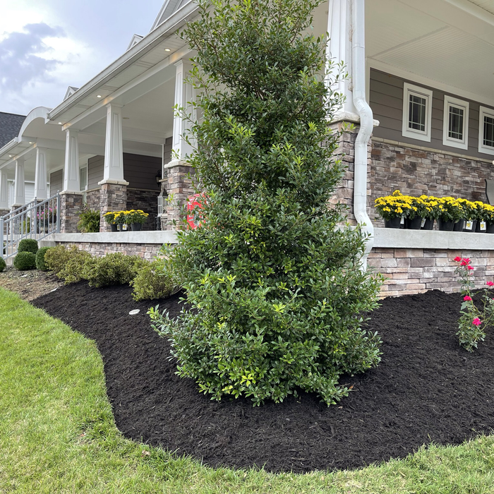 Mulch