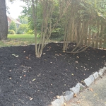 Landscaping Project