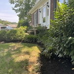 Landscaping Project