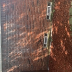 Pressure Washing Project