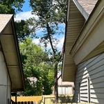200’ treated privacy