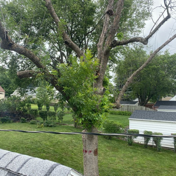 Additional Photos