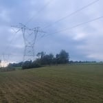15 Acres 18 inch grass