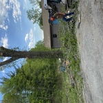 Tree Service Project