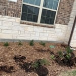 Landscaping Project