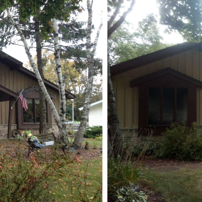 Additional Photos