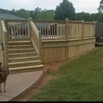Pool deck