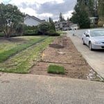 Landscaping Project
