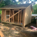 Back Shed