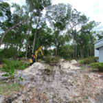 Removing shrubs, trees, and stumps.