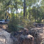 Stump Removal.