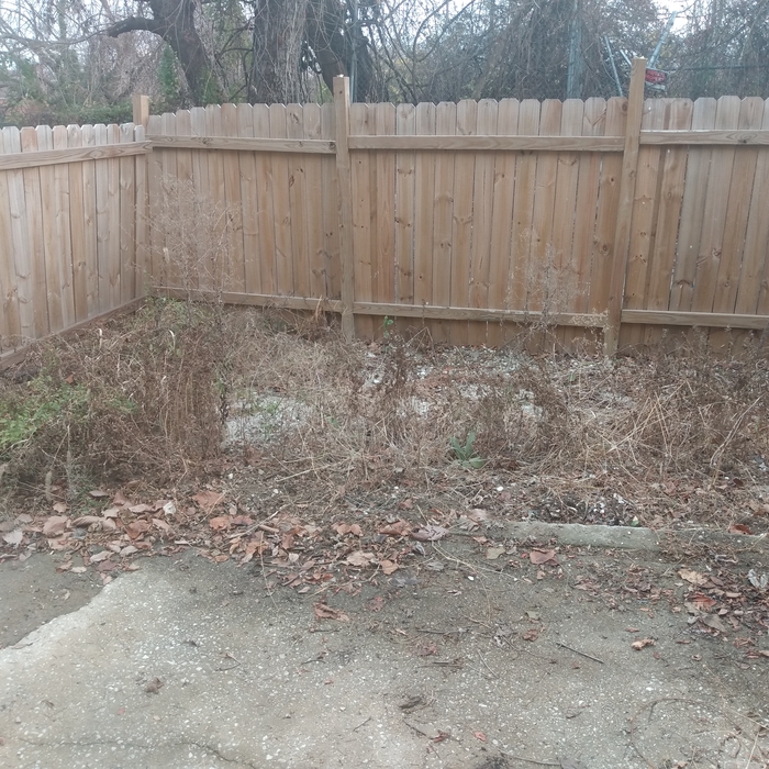 Additional Photos