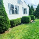 Landscaping Project