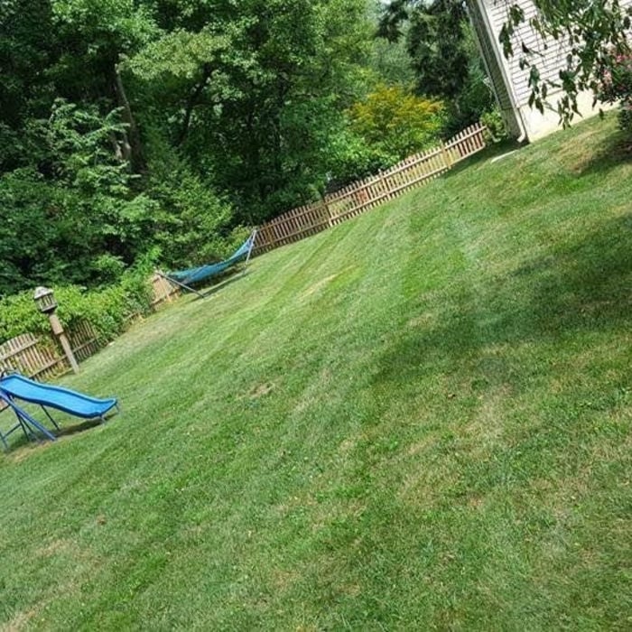 Landscaping Project