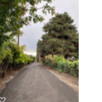 Recycled Asphalt Driveway