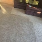 Before & during